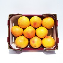 코스트코 자몽1박스 3.5kg [에어캡 포장]