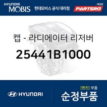 라디에이터 리저버 캡 (25441B1000) 그랜저IG 쏘나타LF 제네시스 EQ900 G80 G90 그랜져 하이브리드 넥쏘 쏘나타LF