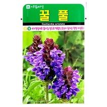 꿀풀씨앗 1000알 꿀풀 씨앗 야생화 꽃씨앗 꽃씨 허브