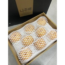 나주 햇배특상 원항 선물용배5kg/7.5kg/15kg, 1박스, 나주 햇배특품15kg (21-25과)