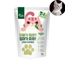 천연재료 응고형모래 착한 가성비갑 먼지안녕 고양 봄