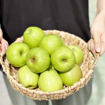 가정용흠집 썸머킹 아오리 꼬마과 5kg 29-31과 여름햇사과