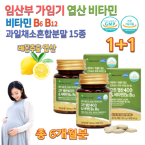 엽산제 아이 중학생 고3 임신준비 임신 전 임산부 수유부 여성 예비아빠 남자 흡수가잘되는 레몬 추출 고용량 약국 엽산 건조효모 비타민 비식스 비12 B6 B12 영양제 약 6개월치, 500mg 90정 x 2통묶음