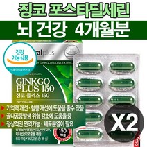 은행잎추출물 혈액순환제 식약처인증 뇌 두뇌 건강 예방 좋아지는 뇌기능 뇌혈관 혈행 기억력 인지력 개선제 보조제 강화 은행입 징코 진코 GINKGO 부모님 60대 70대 80대 추천