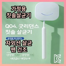 굿리던스 칫솔 살균기 UVC 살균LED, 핑크