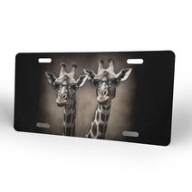 BYBYSCL LGBT 깃발 게이 프라이드 무지개 패턴 알루미늄 번호판 장식 금속 자동차 전면 참신한 커버 4 홀 태그 15.2 x 30.5 cm, White5