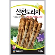 산천도라지 씨앗 3000립 민속채소 약용도라지 세계종묘