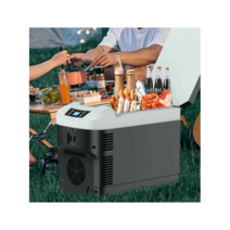 차량용냉온장고 캠핑카 냉온장고 화물차 쿨러 35L, 35L 블랙