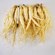 4년근 5년근 삼 인삼수삼 세척인삼 진공포장 원수삼 대 500g 750g 1kg, (무료세척)원수삼 대 8뿌리 750g