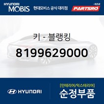 블랭킹키 (8199629000) 베르나 아반떼 아반떼XD 클릭 투스카니 티뷰론 갤로퍼 라비타 싼타모 테라칸 현