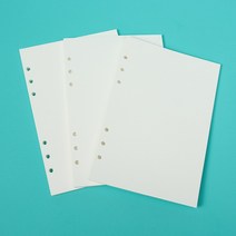 다이어리 스토르 속지 A5) 만년다이어리업무수첩업무노트업무다이어 업무노트 (6공 무선