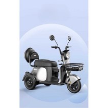 삼륜 전동 스쿠터 동반 애견 전동자전거 성인용 세발, F6-600W 모터 (48V) 12ah 납산
