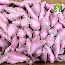 국내산 한입 쫄고구마 10kg, 단품