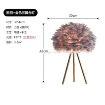 WARM프리미엄 깃털스탠드 인테리어 롱 스탠드 장 거실 플로어 스탠딩 소품 조명, 스탠드-그레이우드+골드 삼각대 3색광 증정