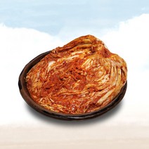 오늘애푸드 프리미엄 매운 실비김치, 5kg