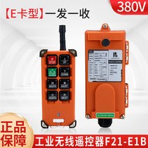 크레인 원격 제어 컨트롤러 호이스트 원치 무선리모컨, 모델 D 220V