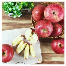 고당도 햇 사과 가정용흠과 2kg 5kg 10kg, 06.주스용 심한 멍 흠과 5kg /