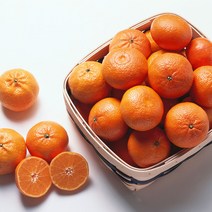 천하일품 서귀포 명품 레드향, 1박스, 11.레드향 5kg 대과(8-18과)