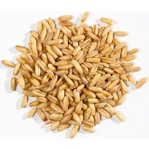 귀리쌀 오트밀 통귀리 귀리 잡곡, 2개