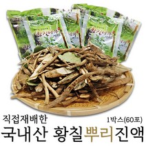 불로초황칠나라 황칠뿌리액기스 기타건강즙, 60포, 70ml