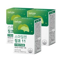 스마일렌 징코11 30정 3통 은행잎추출물, 옵션선택