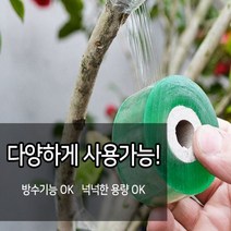 나무 접목 테이프 원예 자재 식물 접분임 비닐 부자재 파라 필름 접목용 화훼 용품, 접목테이프 5cm