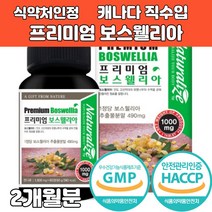 식약처인증 보스웰리아 가루 분말 정 환 타블렛 고함량 보스웰릭산 65.65 원물 인도산 해외직구 홈쇼핑 식약처 해썹 HACCP, 1개, 정남진스토어 1000mg x 60정