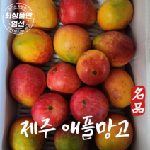 제주 애플망고 서귀포 직송 미니애플망고 3kg, 제주산 미니애플망고 3kg, 1개
