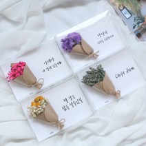 드라이플라워 카드 모음전(+문구)/가로형 엽서/생일 감사 기념일편지 메시지, 문구추가 20자이내, 29. 오하이오블루(보라)