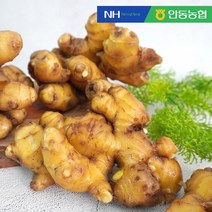 [미식한가]안동농협 육질이 단단한 흙생강 세척생강 (옵션선택), 세척생강 1kg