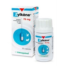 베토퀴놀 질켄 스트레스완화 보조제 사은품증정 30캡슐 75mg