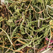 국산 민들레(포공영) 600g 건조 건 말린 차, 16HD_국산민들레(포공영)600g