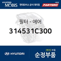 필터 어셈블리-에어(연료주입구쪽 장착) (314531C300)