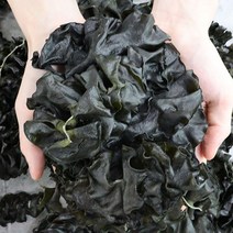 완도 햇 돌미역귀 세척후 전통방식, 1박스, 미역귀 가족용 400g 2봉