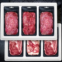 횡성한우 한우선물세트 정성3호 (불2+등2+안+차) 3.0kg, 1개