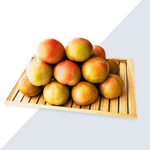 [프레시푸드마켓] 맛있는 완숙 찰토마토 덜익은토마토 특등급 송이토마토 1KG 1.5KG 2KG 2.5KG 5KG