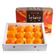 [익산원예농협] [농협공판장] 정성드린 GAP인증 제주 천혜향세트 3kg(12과내), 상세 설명 참조