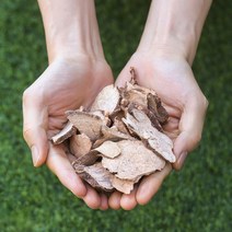 국산 적하수오 200g 건조 말린 하수오 차 한약재 약초, 1개