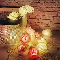 LED 장미 조명 파우더 3m, 단품