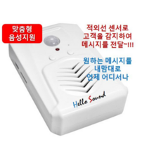 헬로사운드 동작감지 음성안내기 차인벨 무선경보기 적외선 모션인식 무인매장 KC인증 순정품, 안내기+선택음성저장(AI녹음 필수선택 +6000원), 1m케이블(+2000), 5V1A(+2500)