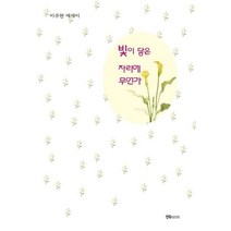 빛이 닿은 자리에 무언가, 선우미디어, 이주현