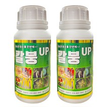 칼붕업500ml(2병) 유일 칼슘 붕소 한번에 시비 배추 고추 무 김장 비료 칼슘제 식물영양제 모두싹 혼용가능, 칼붕업500ml 2병