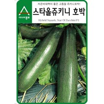 팜스마켓 쥬키니호박씨앗 종자 25립 도시농업, 1.쥬키니호박 70립