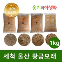 옹기와야생화 세척 울산 황금모래 3호 1kg 자연의색 다육파종, 1개