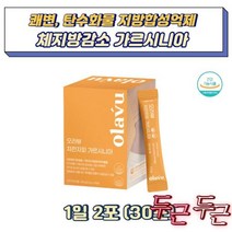 탄수화물컷팅제 차전자피 HCA 출산후다트 체지방감소 다트 식이섬유