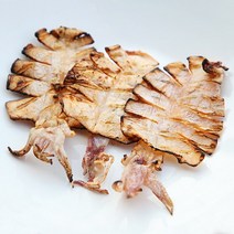 반건조 한치 마른 한치 5마리 한치구이