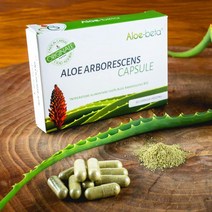 Aloe Beta 알로에베타 알로에 Aloe Arborescens 30정