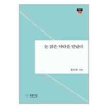 눈 맑은 낙타를 만났다, 함진원 저, 푸른사상
