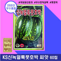 [OK씨앗] [신녹얼룩풋호박] 호박씨앗 종자(오케이씨앗), 60립