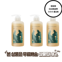 청미정 천연 다시마샴푸 1+1+1 총3개 빠른배송, 청미정 다시마샴푸 1+1+1 총3개